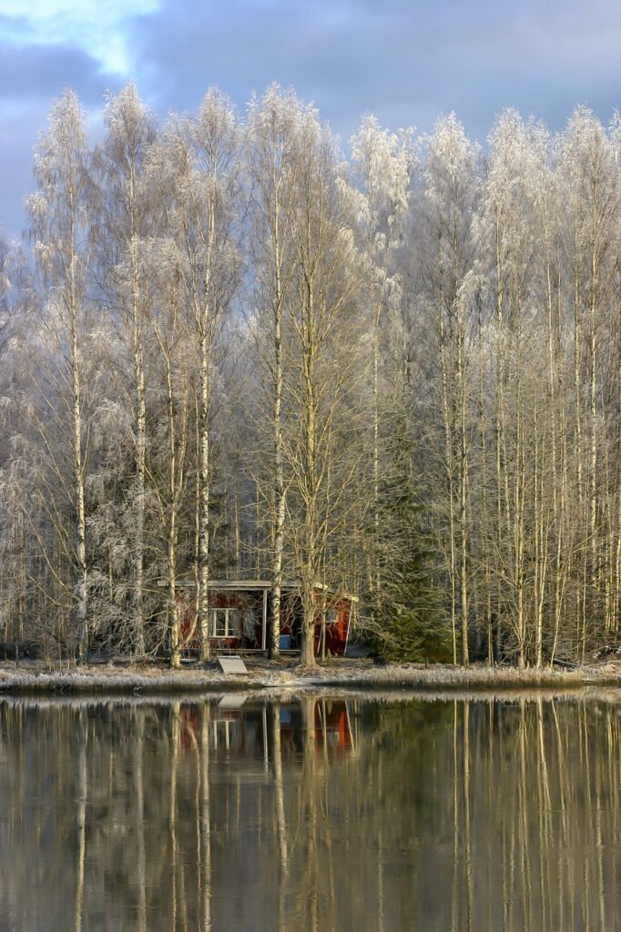 summer cottage, lake, forest-7029506.jpg